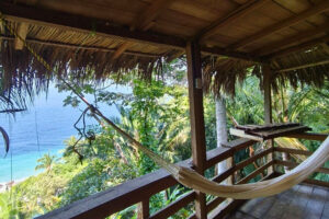 Tropical balcony with hammock overlooking ocean and palm trees