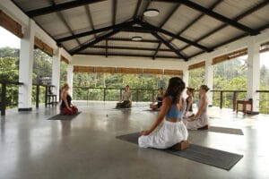 Group meditation session in open-air tropical pavilion