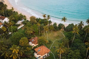 Aerial view of tropical beachfront villas and palm trees