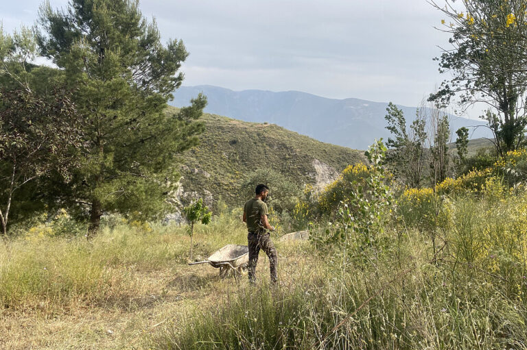 Man pushing wheelbarrow on grassy hillside