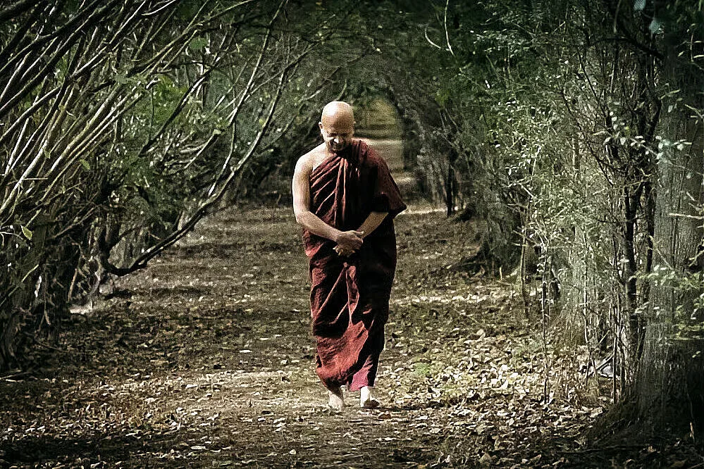 Buddhist monk walking along forest path