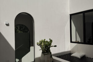 Minimalist courtyard with arched doorway and potted cactus