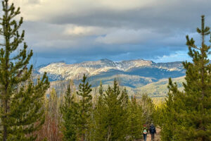 Hikers on forest trail with snowy mountains