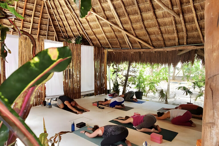 Group yoga class in open-air tropical pavilion