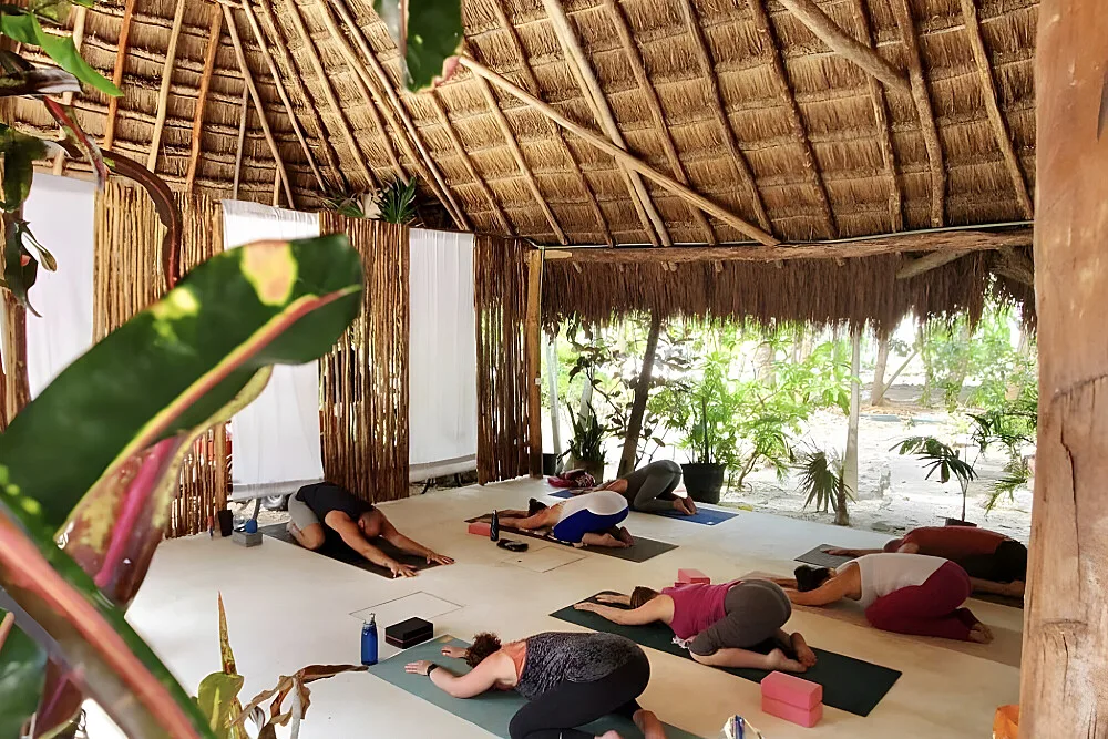 Group yoga class in open-air tropical pavilion