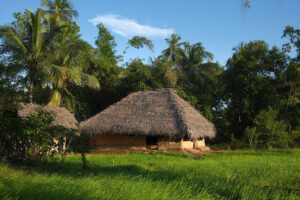 Thatched-roof hut in lush tropical landscape