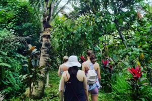 5 Day Organic Juice Detox, Daily Spa & Yoga Culture Retreat, Bali 6