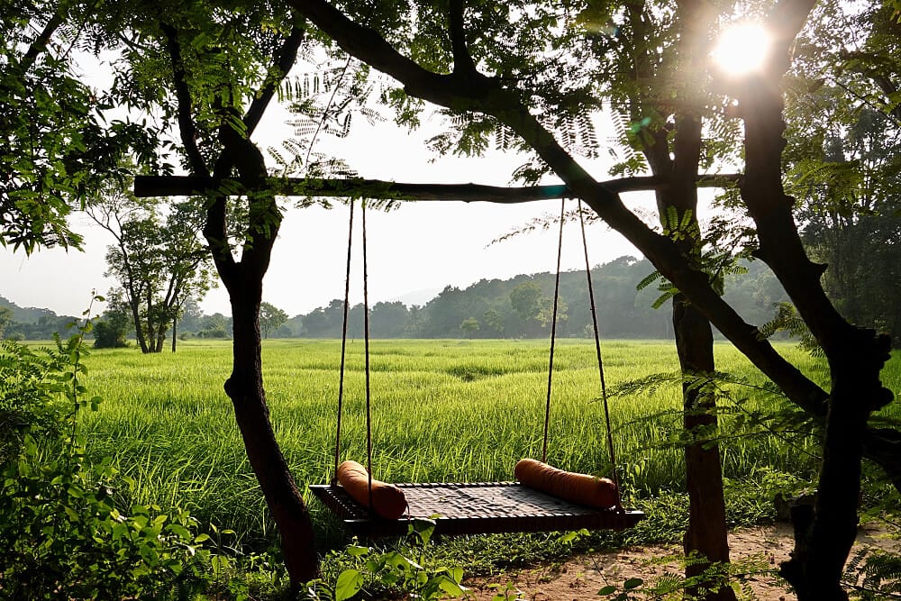 Rustic swing under tree overlooking green field